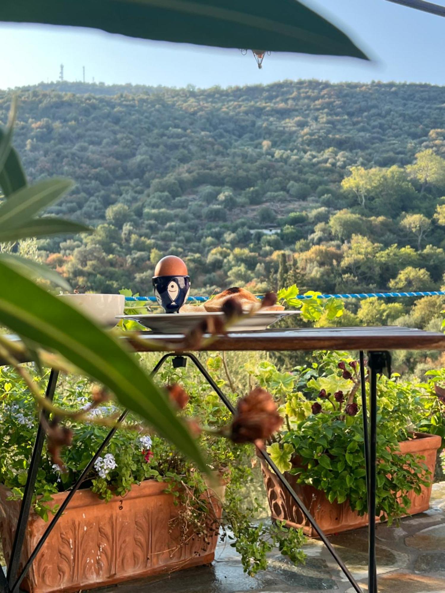 Maison Charme Avec Piscine Privee, Pres De La Mer A Sappounakeika, Tyros Sapounakeika 外观 照片